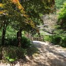 문배식당 | 춘천 구곡폭포 문배마을 산행 등산코스