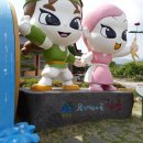 지리산인월송 이미지