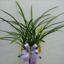 영전농장 이미지