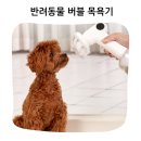 빌리버튼 | 안전한 실리콘 솔로 피부 깊숙이 깨끗하게 라빌리 거품 분무기 후기