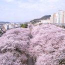 진해구 ⓒ-40 이미지