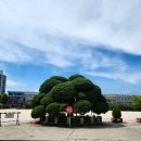 고색초등학교 이미지