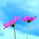 뚝길따라 이미지