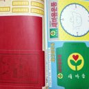 미스터케이
