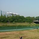 야탑 반려견 이미지