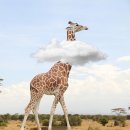 파티클럽노래연습장 이미지