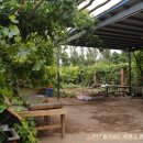 서안농장 이미지