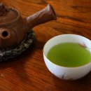 조박사민박 이미지