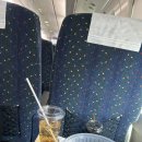 낭만물고기 | 낭만치사량 최고 묵호 기차여행 / 포항에서 묵호 기차, 묵호1박2일여행후기, 묵호가서 뭐묵호 왔노?