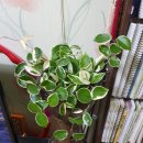 대술면주민자치센터 이미지