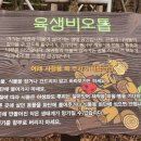 논현중앙근린공원 이미지