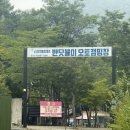 [강원/평창] 서울 근교 흥정계곡 오토 캠핑장 │ ‘평창반딧불캠핑장’ 후기