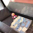 명랑도그 이미지