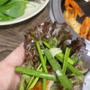 백운면 | 제천삼겹살 백운면맛집 수향정육식당 방문 후기