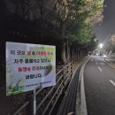 기흥호수공원(생태) 이미지