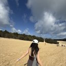 데이샌드 | 브리즈번 모튼 아일랜드 데이투어 솔직후기 🌊 (샌드보드 + 투명카약 + 스노클링 3종 풀패키지)