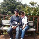 문정초교 이미지