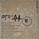 빛난다그손 이미지