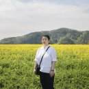 유채인력 이미지