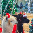 영수목장 이미지