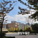 능수버들공원로 네이버블로그
