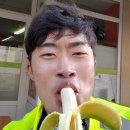 레인보우와 삐약이 2019 프랑스 PBP 1200km - 둘째날 PBP 악몽의 루데악