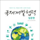 국제개발 티스토리