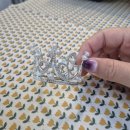 댕냥이 점빵 이미지