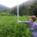 대식농장 이미지