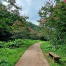 행복한선물 이미지