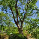 쿡앤스테이 이미지