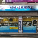 크린업24노원