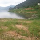 모텔파라다이스 이미지