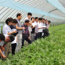 양평군농업기술센터 이미지