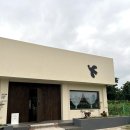 옐로우송버드 이미지