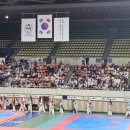 한양대 올림픽 태권도 이미지