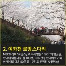 ♣3/25(토)진해 벚꽃 군항제(여좌천+경화역)장복산 진달래 이미지