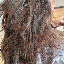 엘리스헤어?? 이미지