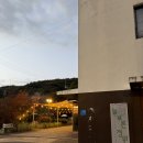 애견의 정원 이미지