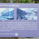 녹천삼계탕 이미지