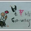 하늘땅바람 이미지