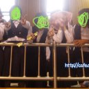 학산여자중학교 이미지