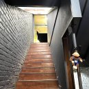 위즈레슬링 이미지