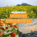 (주)유민 | 제주 3박4일 여행 2일차 코스｜취다선 명상부터 유민 아르누보, 중문회어시장까지 완벽 루트