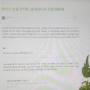 봉봉랜드
