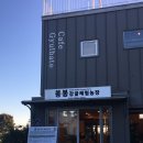 정이농장 | 제주ㅣ서귀포 감귤체험 카페 &#39;봉봉감귤체험농장&#39;