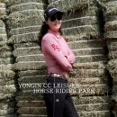 용인씨씨승마클럽 이미지