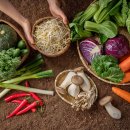 다사 서재출장소 행정복지센터 이미지