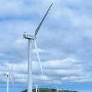 인터넷프라자 | 제주 가시리 유채꽃프라자 카페｜표선 유채꽃·억새·풍력발전기뷰 사계절 명소 2년 반 만의 재방문 후기