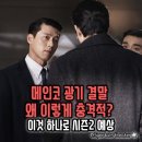 메인플러스인코